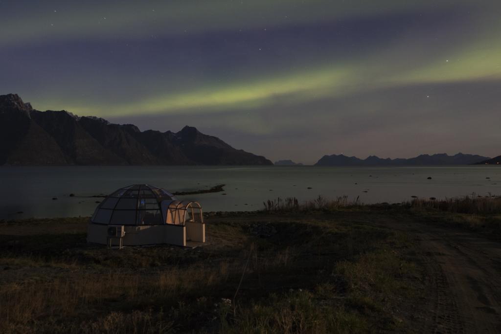 Lyngen North Villa Rotsund Eksteriør billede